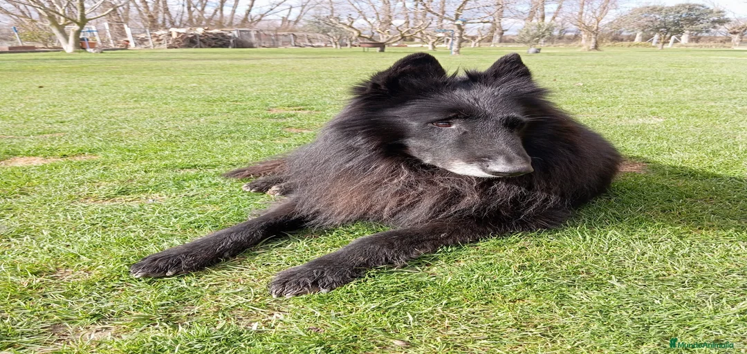 Imagen de galería {{count}}