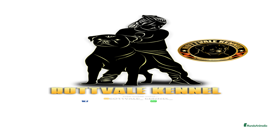 Imagen de galería {{count}}