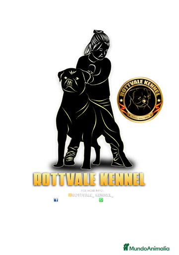 Imagen de galería {{count}}