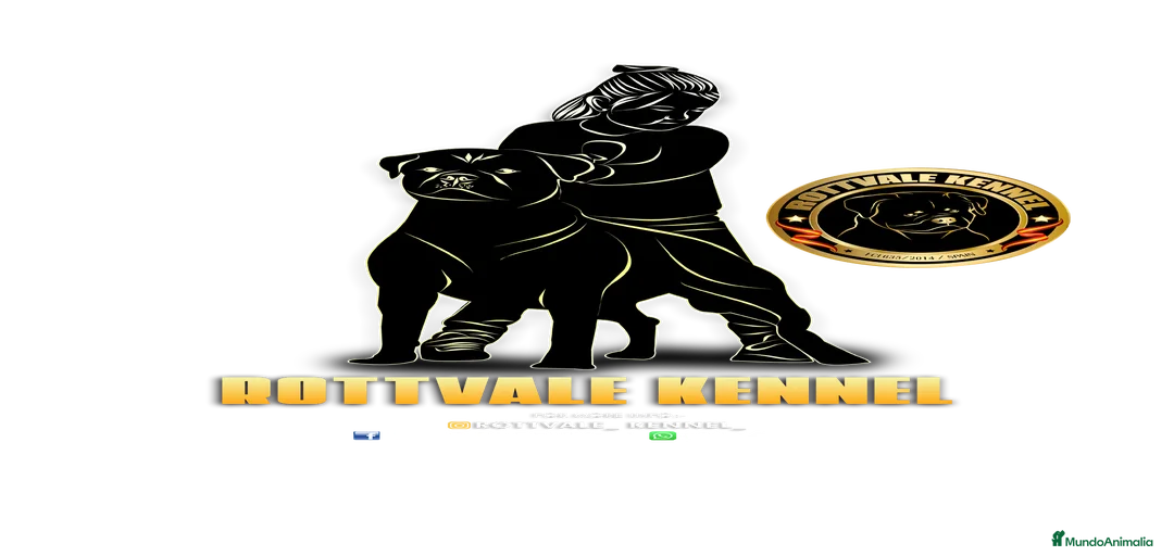 Imagen de galería {{count}}