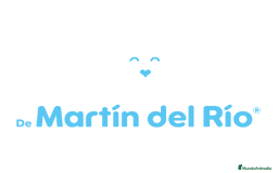 Husky Siberiano perros en venta: SIBERIAN HUSKY - AGOUTI  - Imagen 7