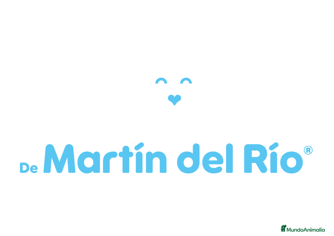 Husky Siberiano perros en venta: SIBERIAN HUSKY - AGOUTI  - Imagen 7