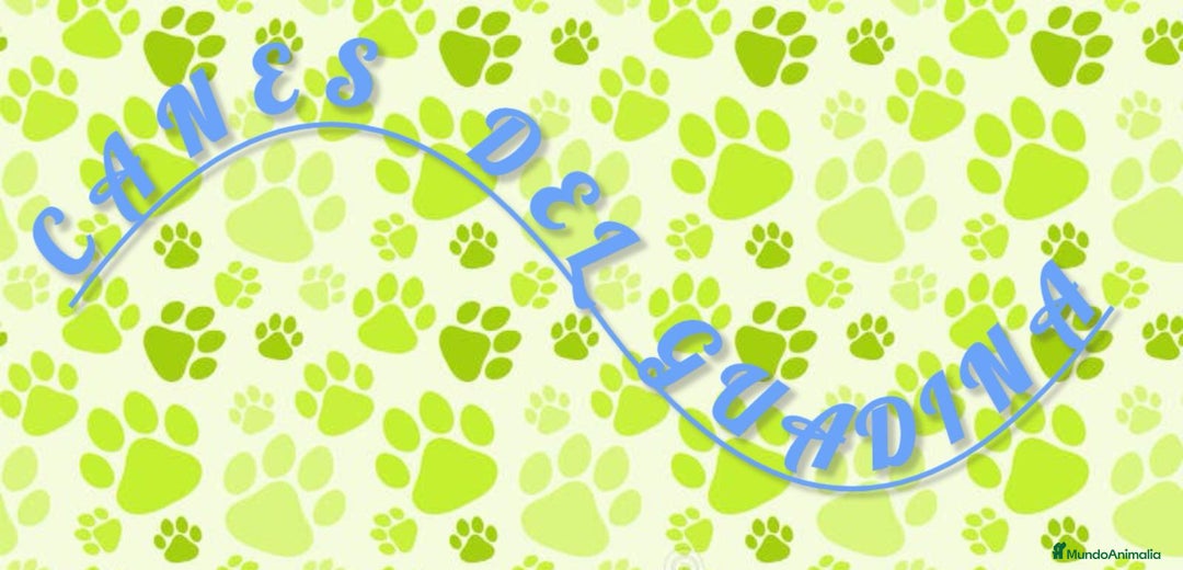 Imagen de galería {{count}}