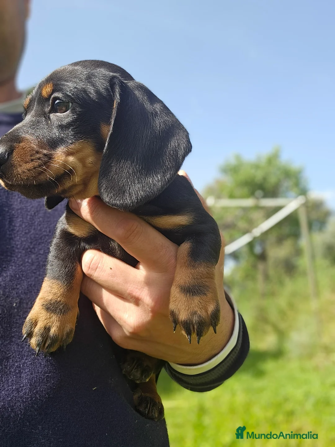 Imagen de galería {{count}}