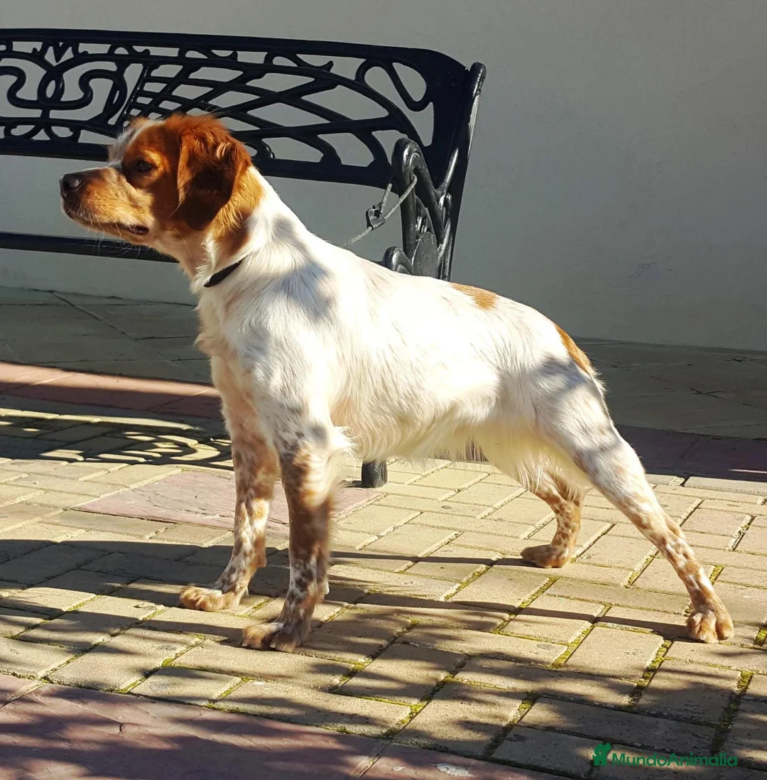 Imagen de galería {{count}}