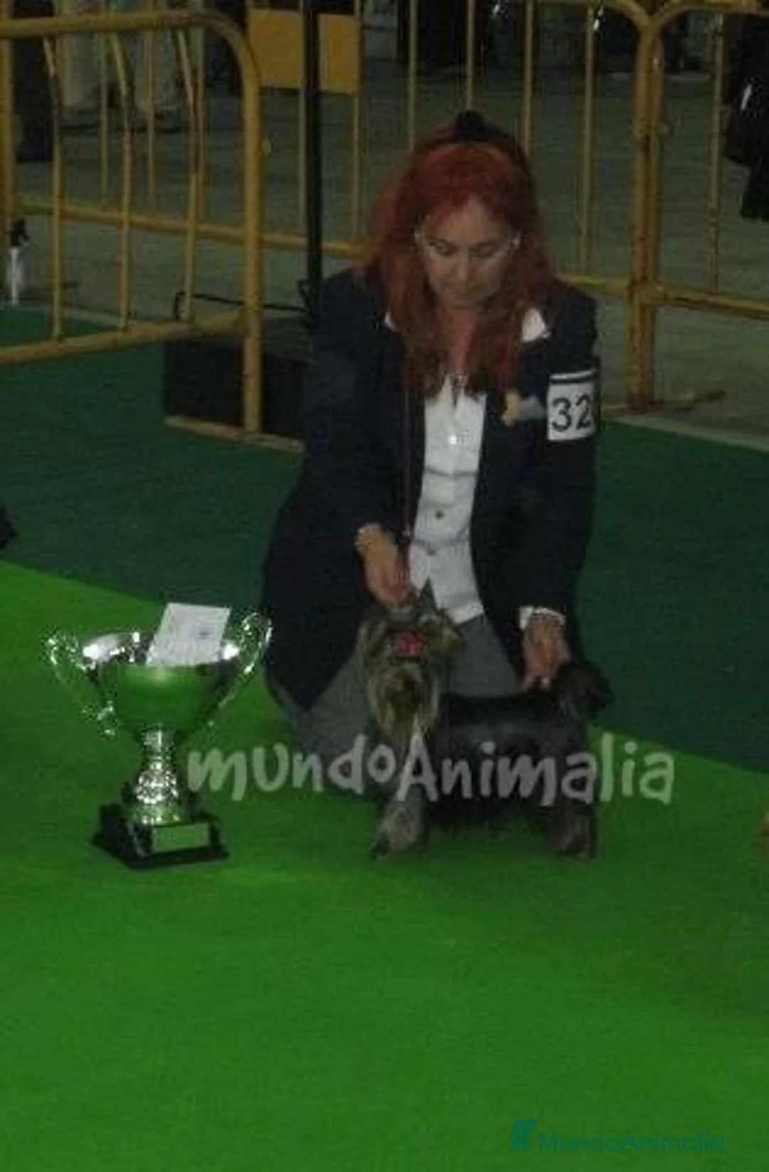 Imagen de galería {{count}}