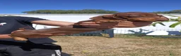 Teckel perros en venta: Preciosos cachorros teckel de pura raza - Anuncio 4