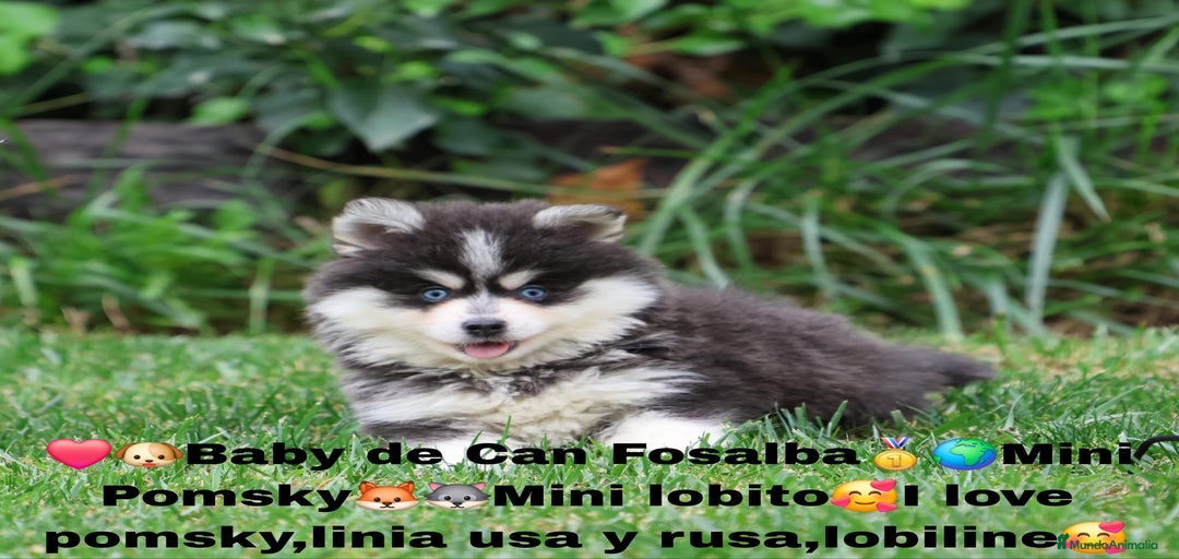 Imagen de galería {{count}}