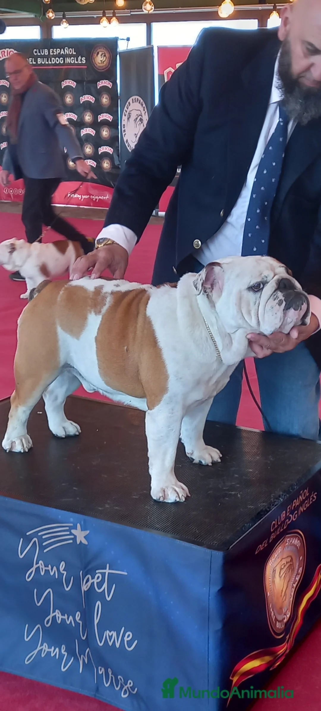 Imagen de galería {{count}}