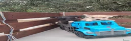 Chihuahua perros en venta: CHIHUAHUAS TOYS CABEZA de 🍎🍎 🥰🥰🥰 - Anuncio 11