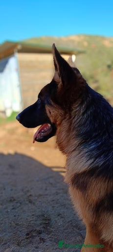 Imagen de galería {{count}}