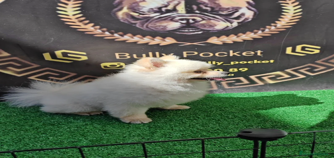 Imagen de galería {{count}}