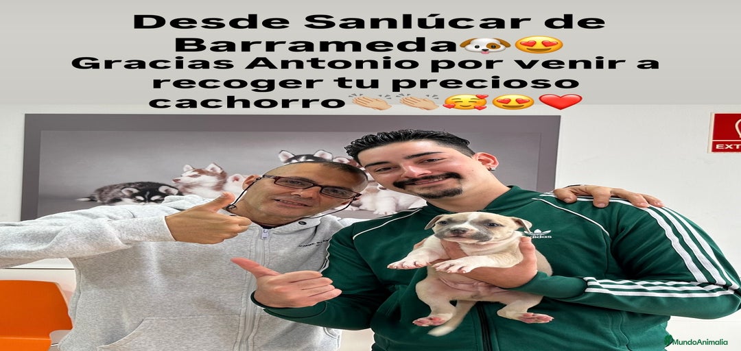 Imagen de galería {{count}}