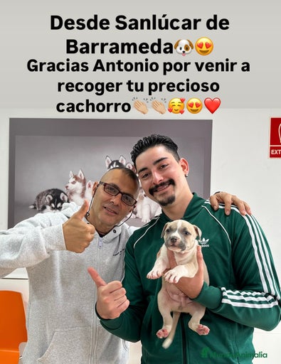 Imagen de galería {{count}}