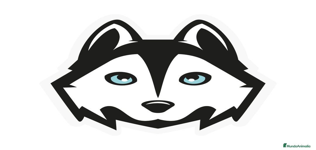 Imagen de galería {{count}}