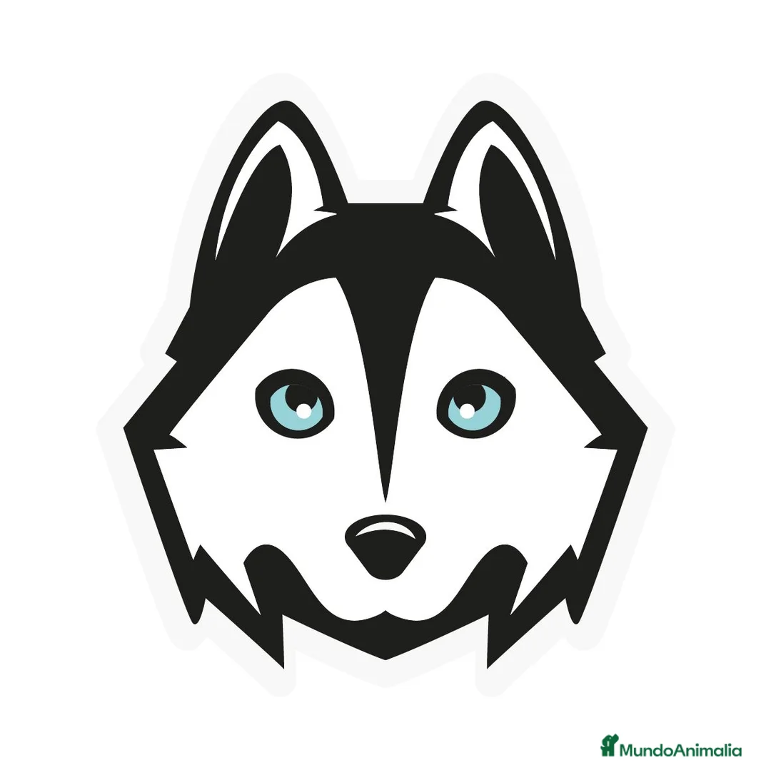 Imagen de galería {{count}}