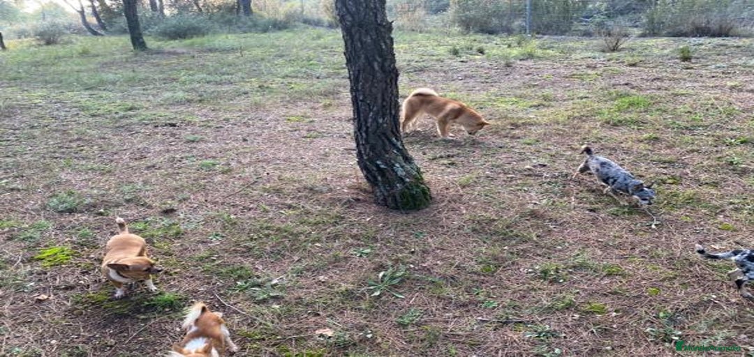 Imagen de galería {{count}}