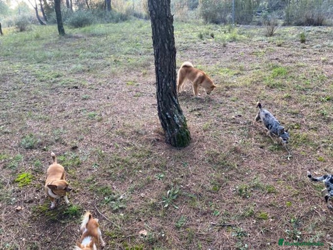 Imagen de galería {{count}}