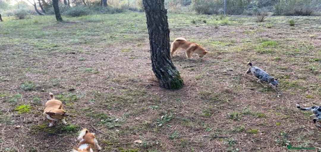 Imagen de galería {{count}}