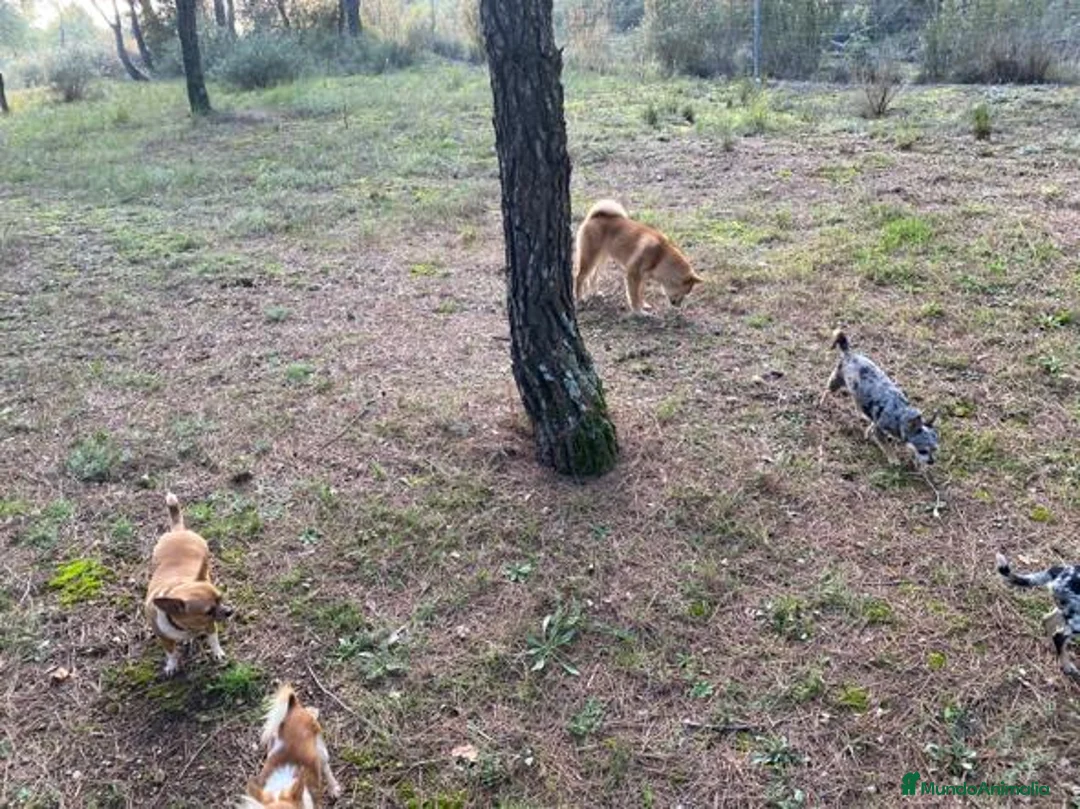 Imagen de galería {{count}}