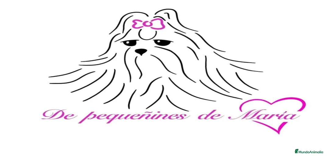 Imagen de galería {{count}}