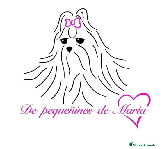 Imagen de galería {{count}}