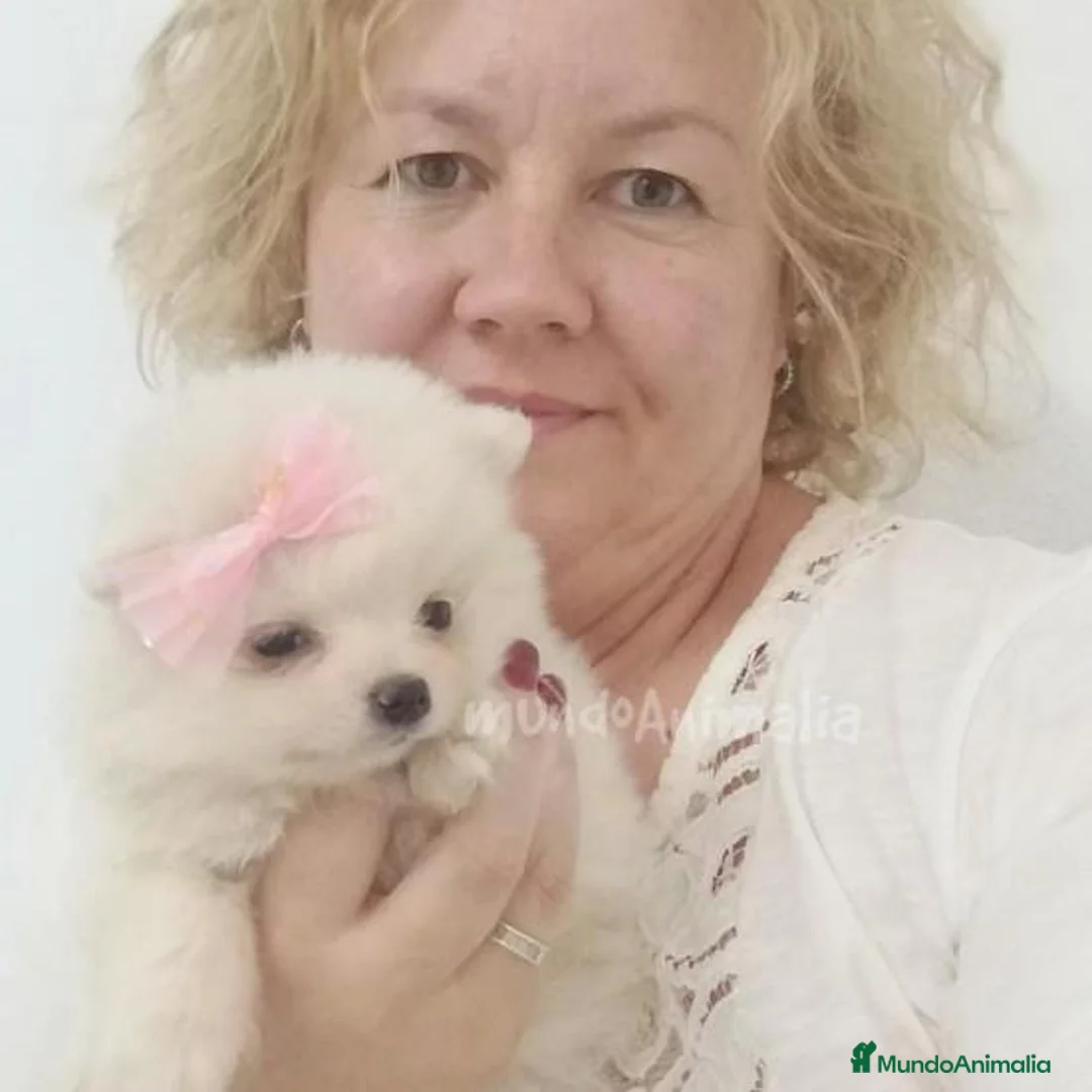 Imagen de galería {{count}}