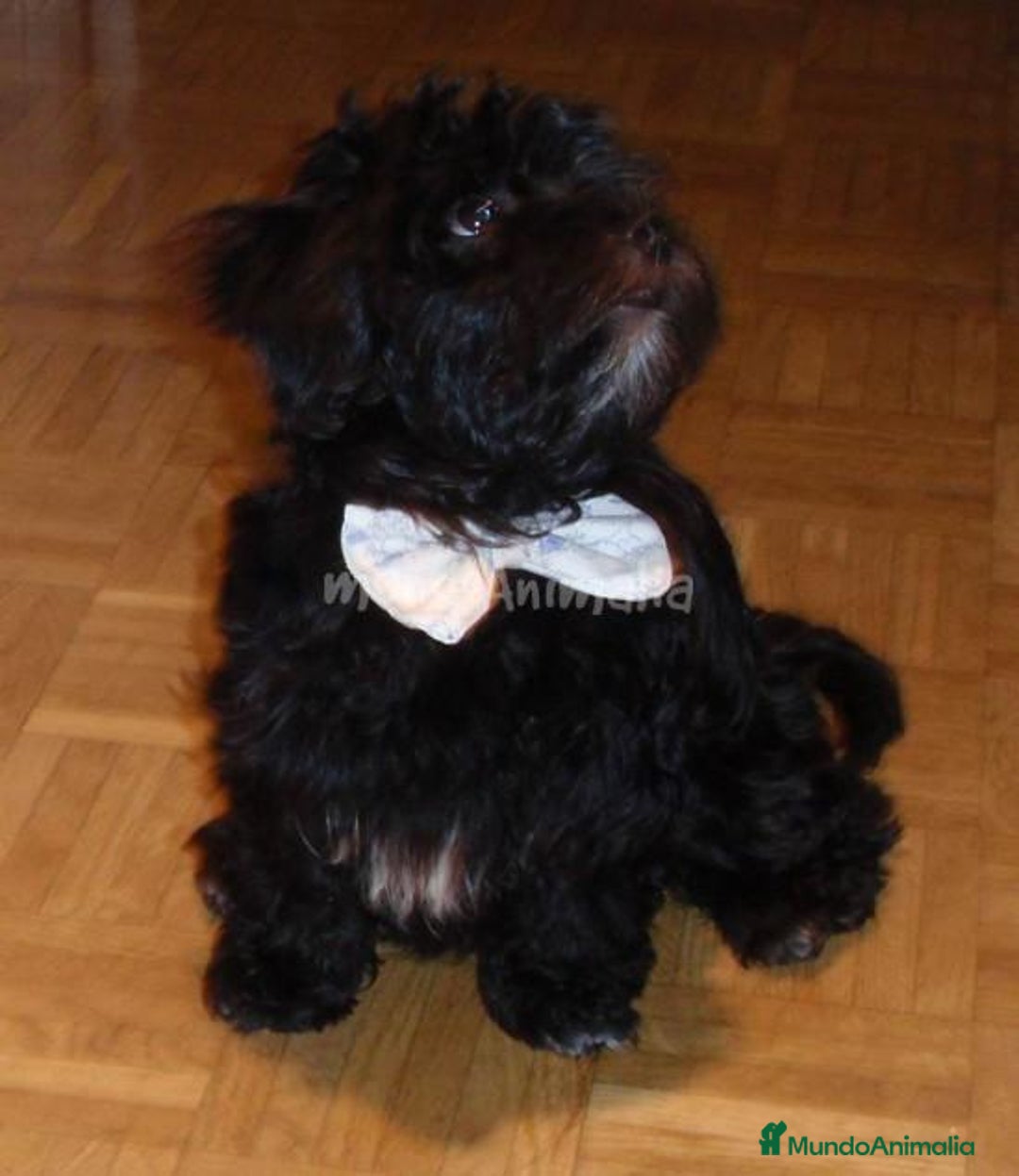 Imagen de galería {{count}}