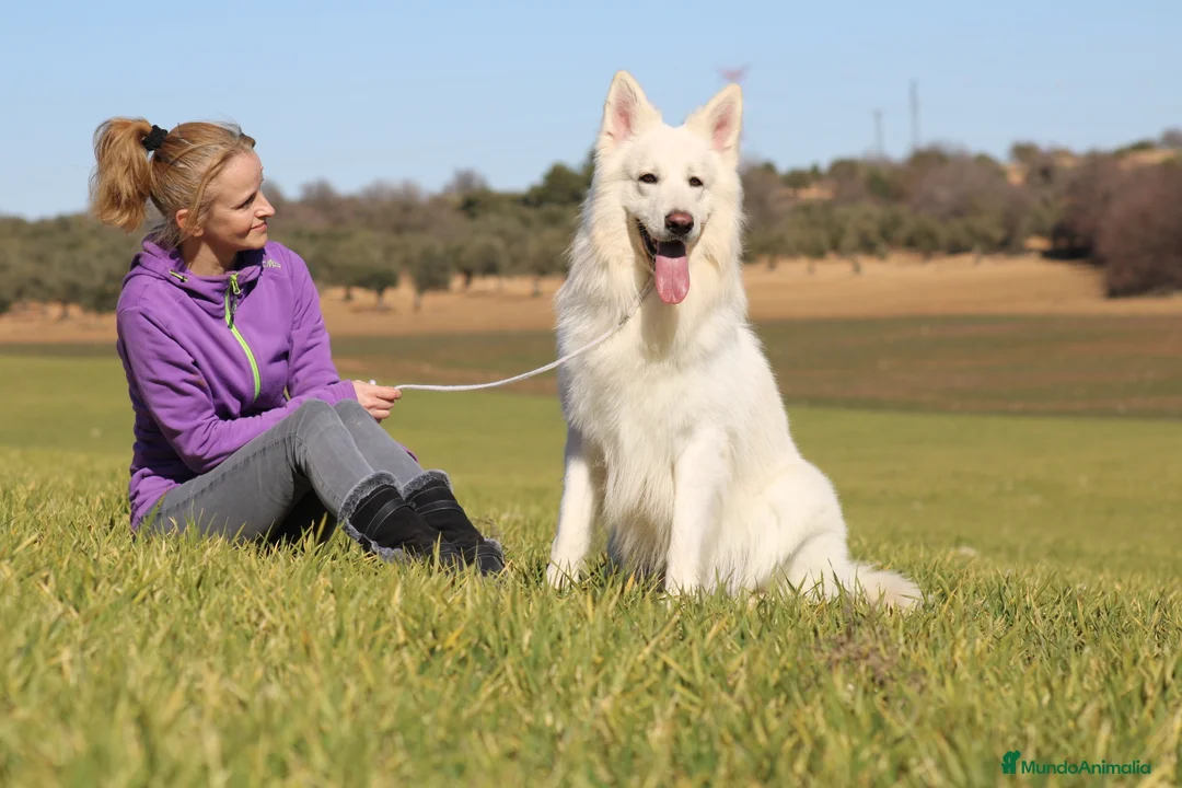 Imagen de galería {{count}}