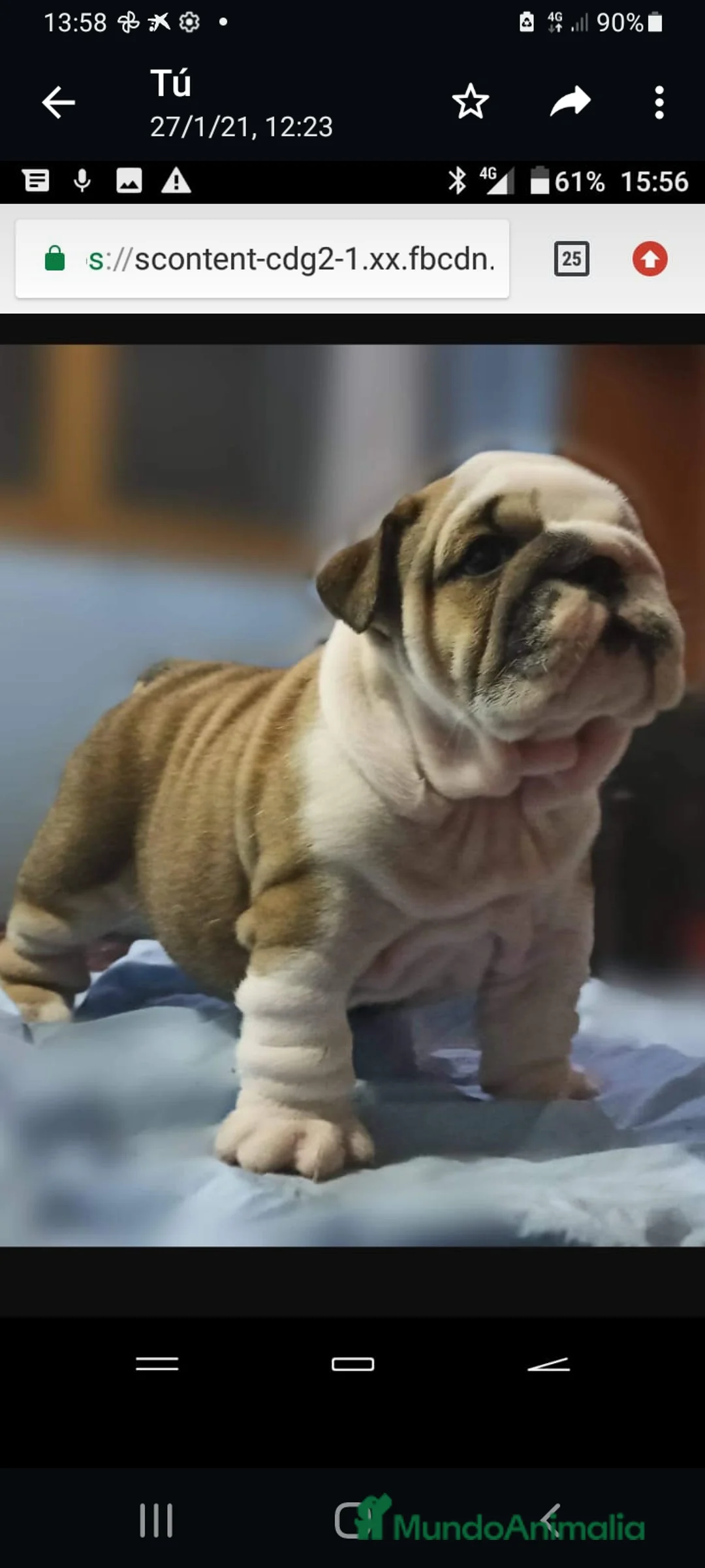 Imagen de galería {{count}}