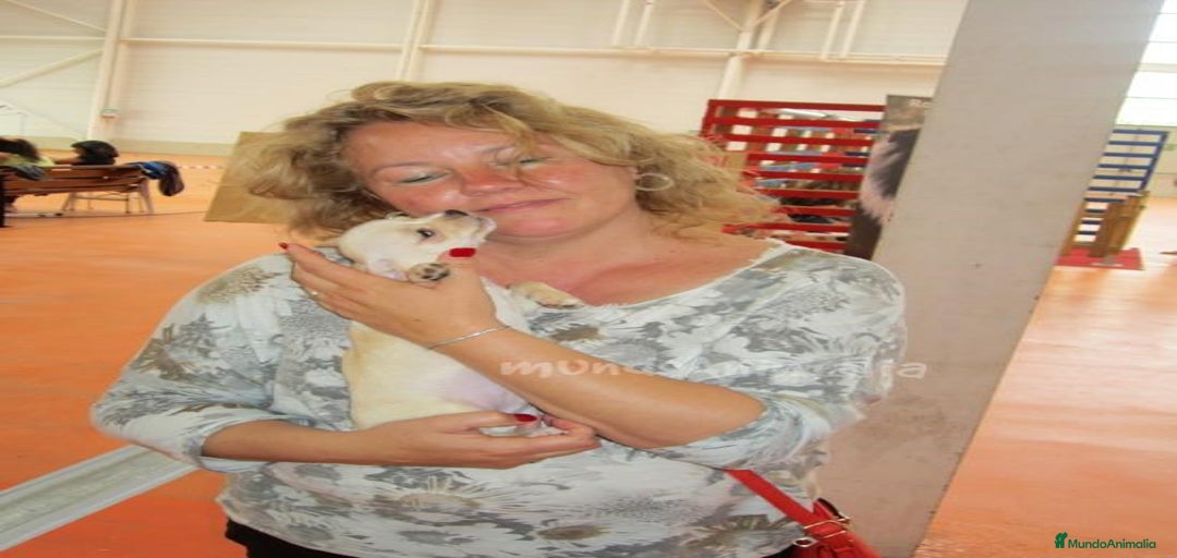 Imagen de galería {{count}}