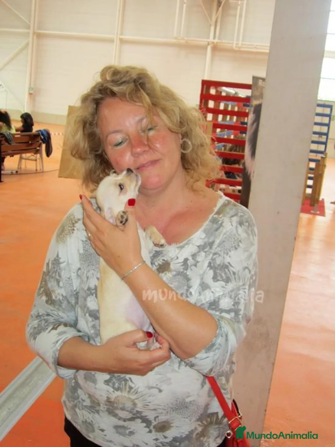 Imagen de galería {{count}}