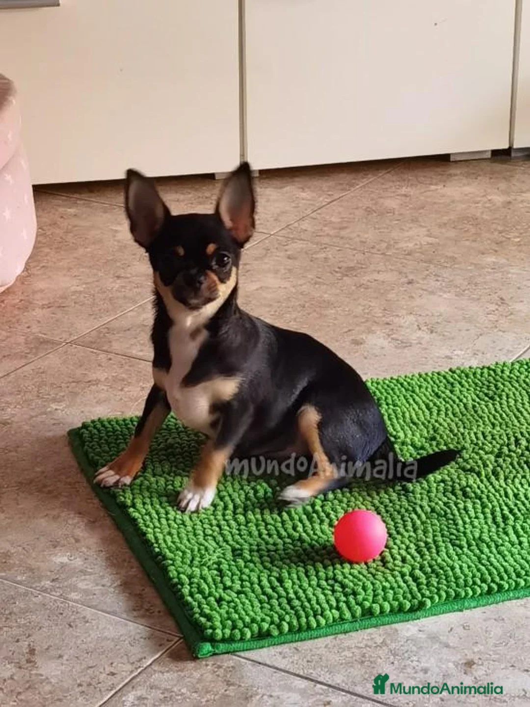 Imagen de galería {{count}}