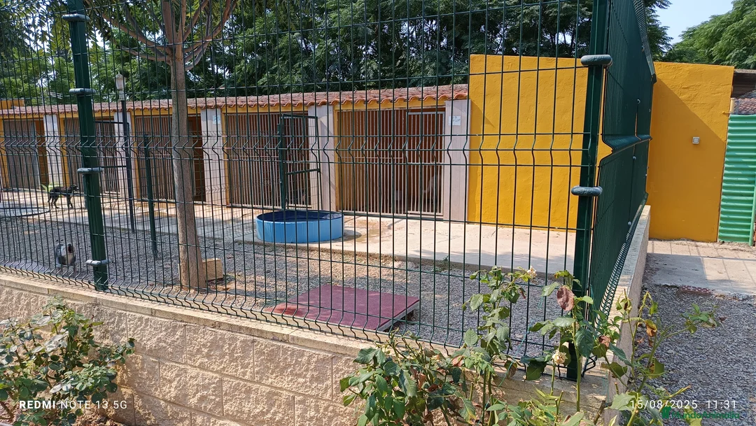 Imagen de galería {{count}}