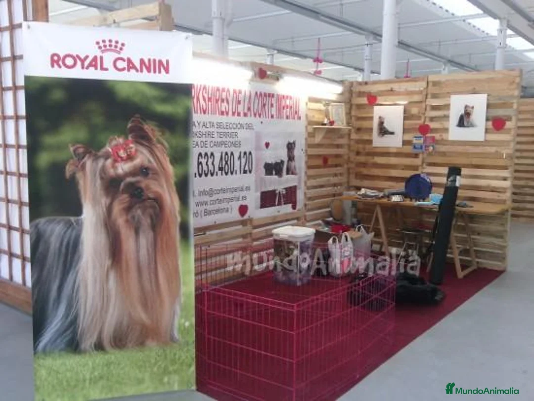 Imagen de galería {{count}}