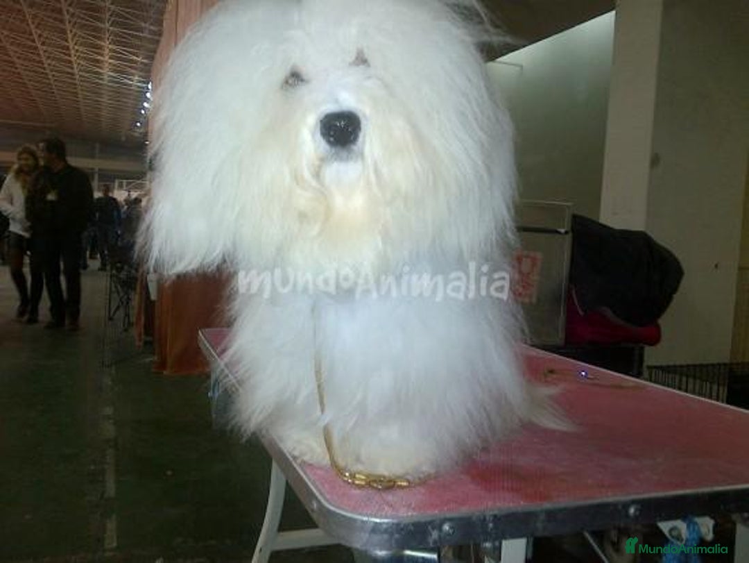 Imagen de galería {{count}}