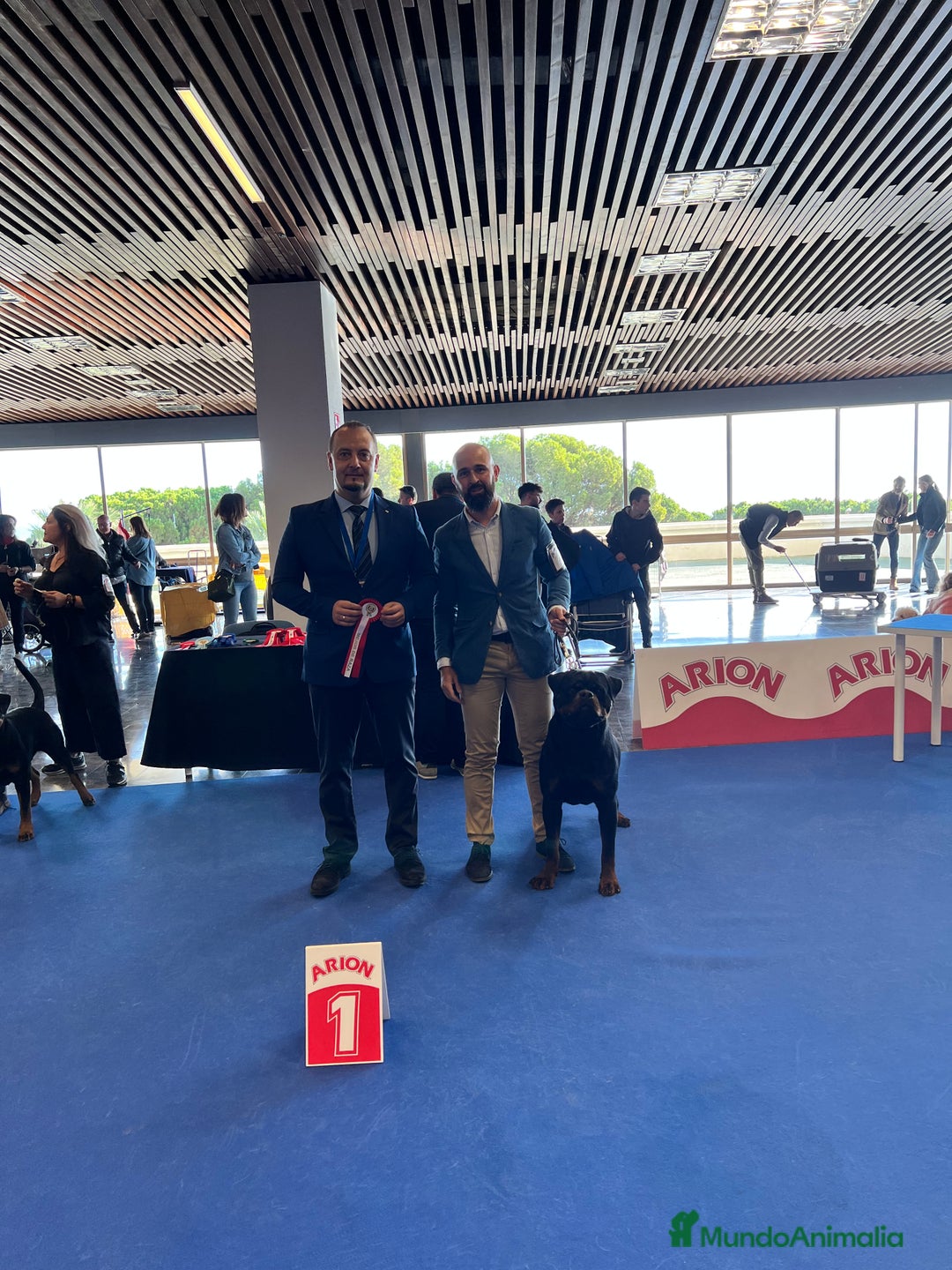 Rottweiler perros en venta: CACHORROS DE ROTTWEILER - Imagen 4