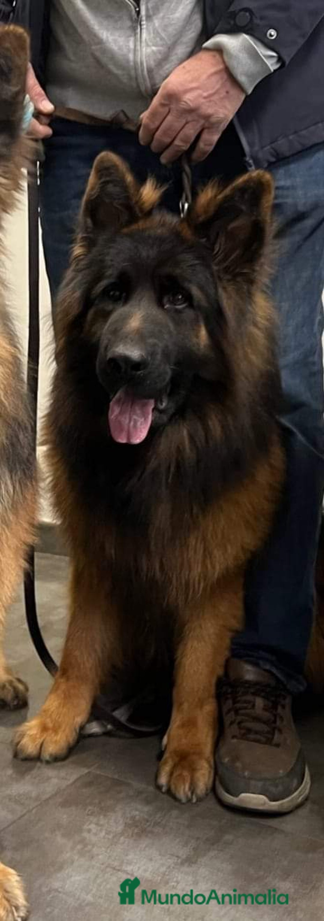 Imagen de galería {{count}}