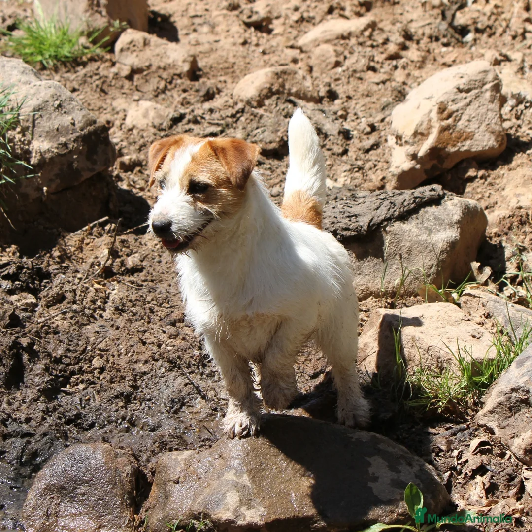 Imagen de galería {{count}}