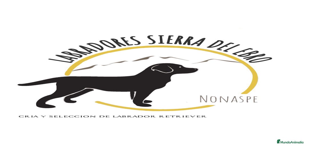 Imagen de galería {{count}}