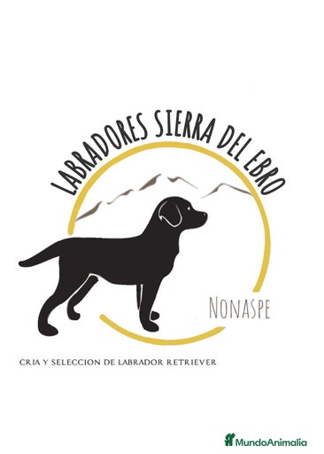 Imagen de galería {{count}}