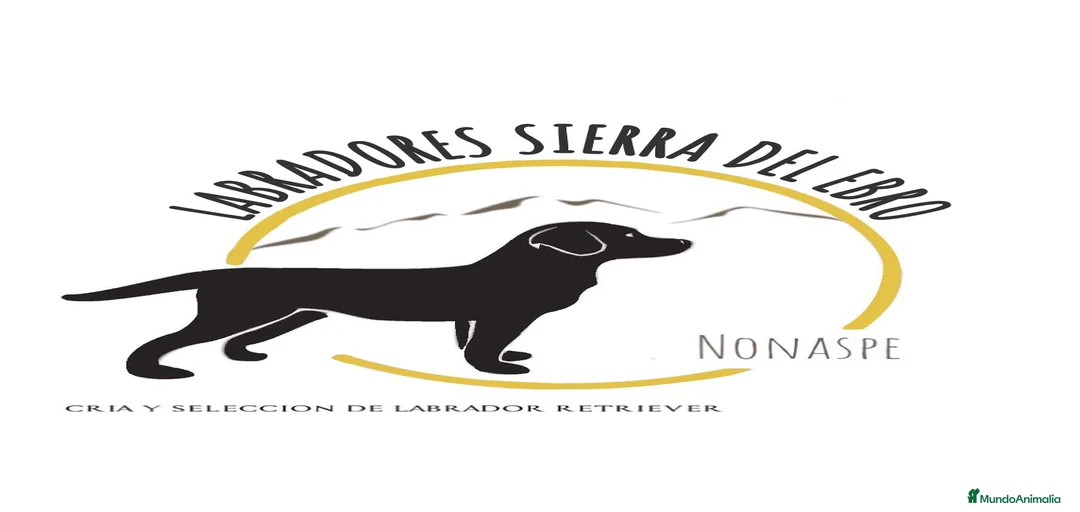 Imagen de galería {{count}}