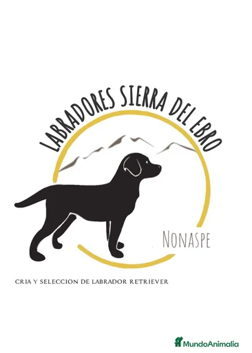 Imagen de galería {{count}}