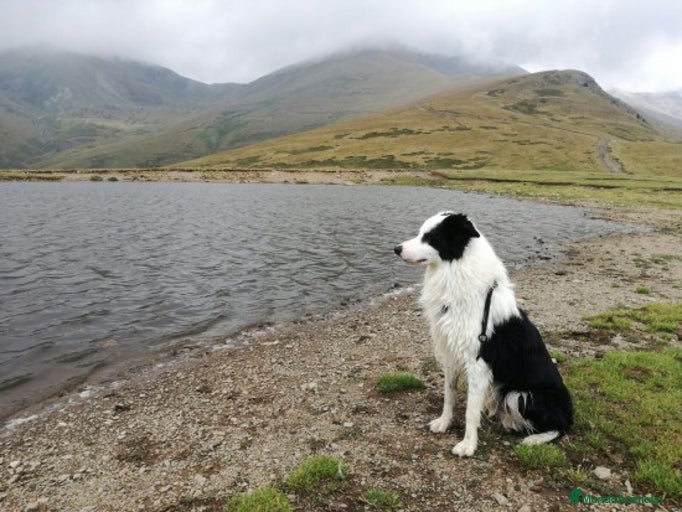 Imagen de galería {{count}}