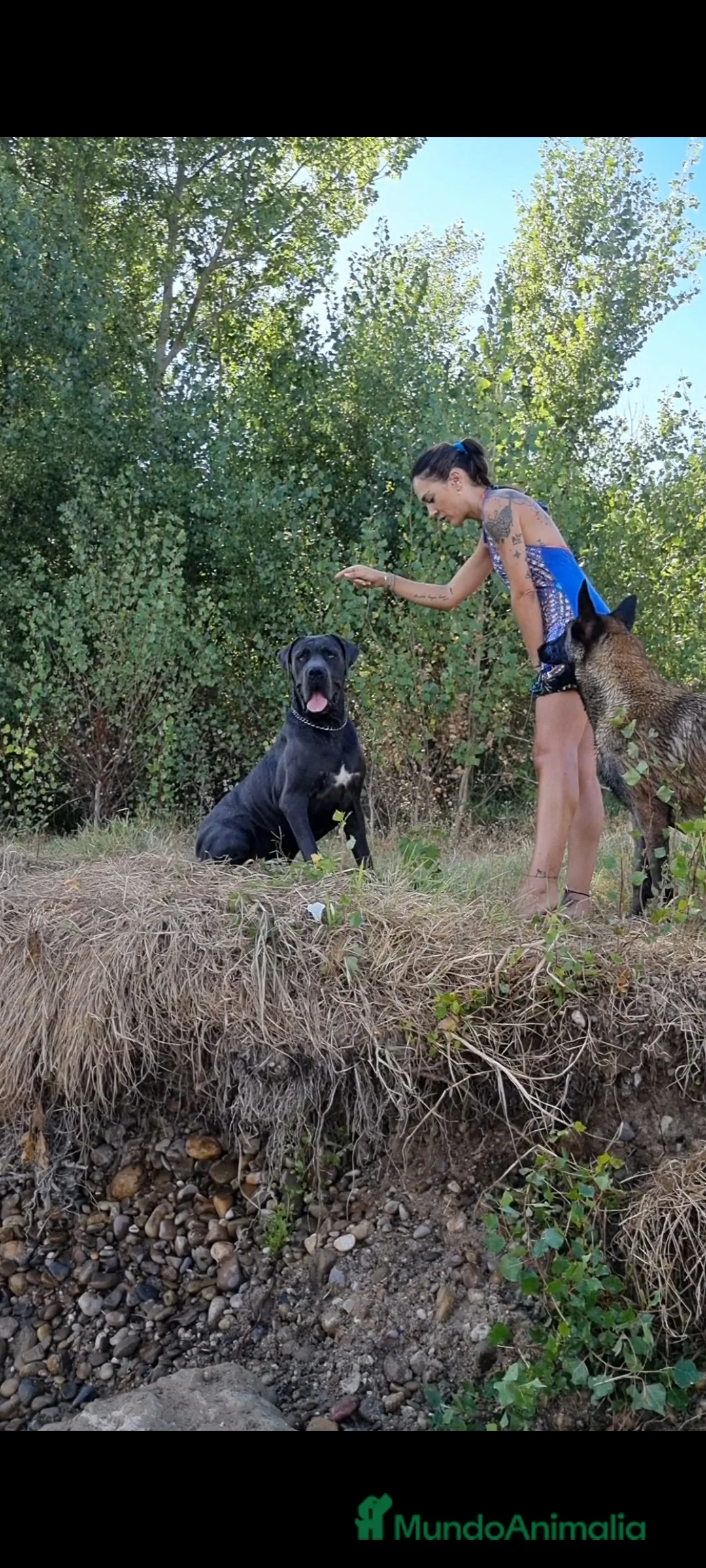 Imagen de galería {{count}}