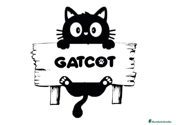 Imagen de galería {{count}}