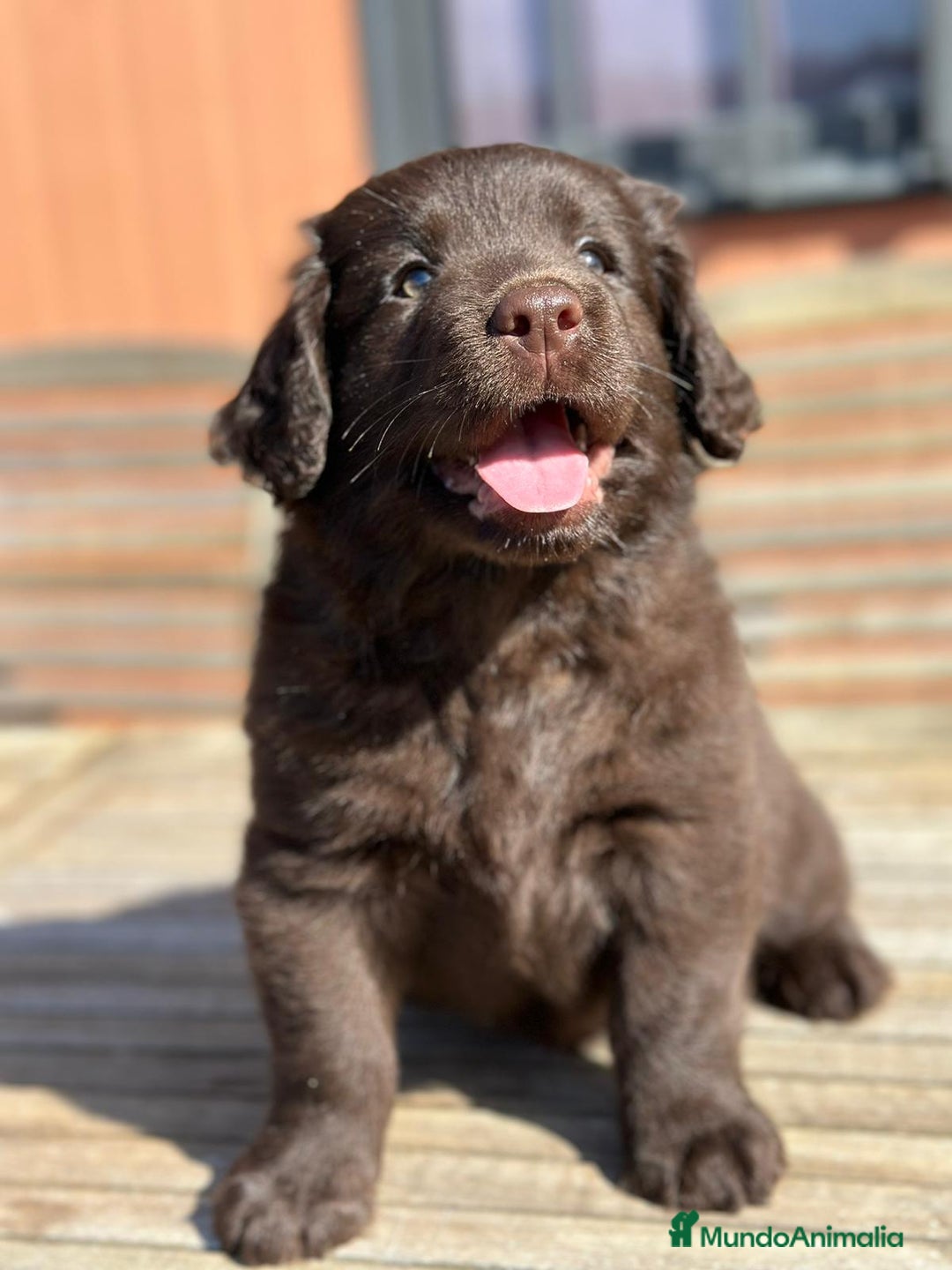 Imagen de galería {{count}}