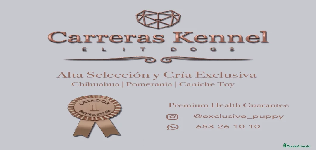 Imagen de galería {{count}}