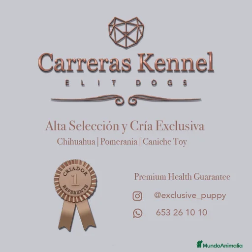 Imagen de galería {{count}}