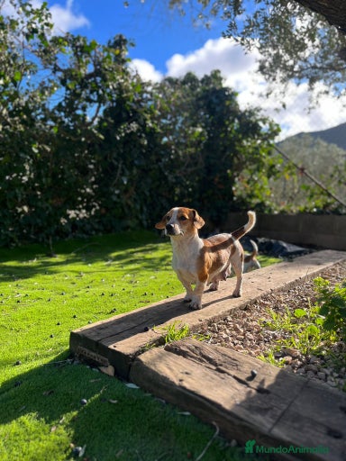 Imagen de galería {{count}}